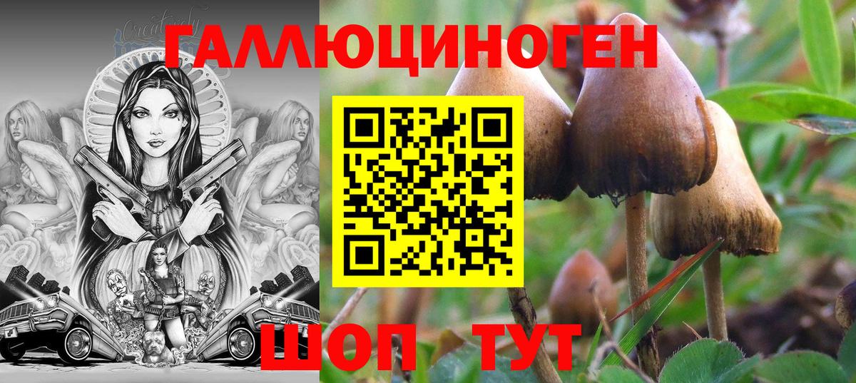 Псилоцибиновые грибы мухоморы  Галлюциногенные грибы ЛСД  Вход с VPN  Новоалтайск 